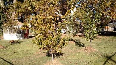 IMG_20151109_141652320