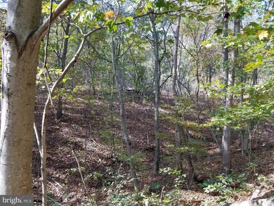 1 Apple Tree Ln, Moorefield, WV 26836 - photo 7