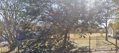 Lot 685, Downs Ln, Houston, TX 77093 - photo 3