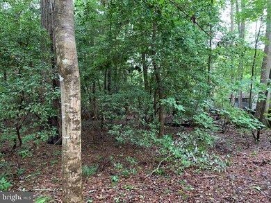 10 Hickory Way, Berlin, MD 21811 - photo 5