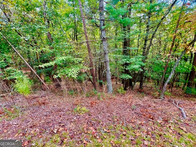 577 Tonto Dr, Ellijay, GA 30540 - photo 6