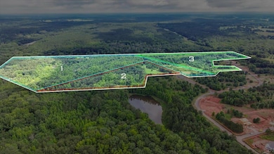 0 Creekview Dr unit 69800, Madison, GA 30650 - photo 6