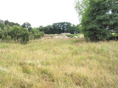 69788 S Nottawa Rd, Sturgis, MI 49091 - photo 5