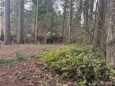 18145 Stony Ct SE, Yelm, WA 98597 - photo 4