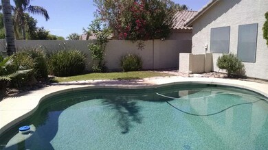 Pool and Side Yard 2