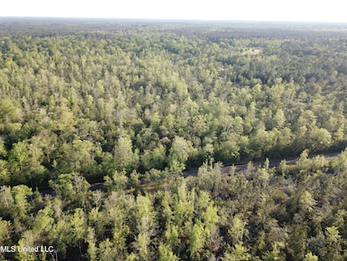 0 Peewee Miller Rd, Lucedale, MS 39452 - photo 6