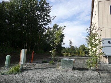 Back yards