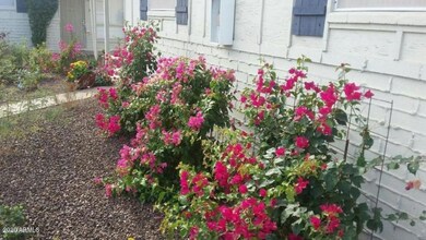 1115 E Mclellan Blvd unit 2, Phoenix, AZ 85014 - photo 7