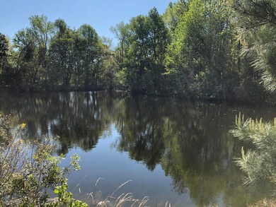 4911 Seewee Rd, Awendaw, SC 29429 - photo 3