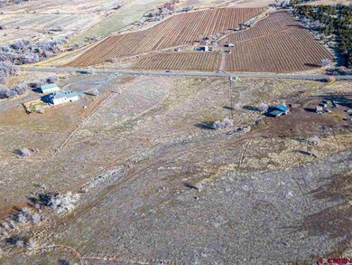 TBD NW Sage Ave, Cedaredge, CO 81413 - photo 4