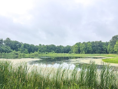 9283 E 250 S, Pierceton, IN 46562 - photo 5