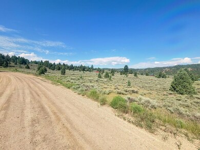 Lot & Road1