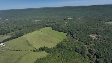 Highway 314, Plainview, AR 72857 - photo 5