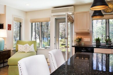 A view of the lake from the kitchen.