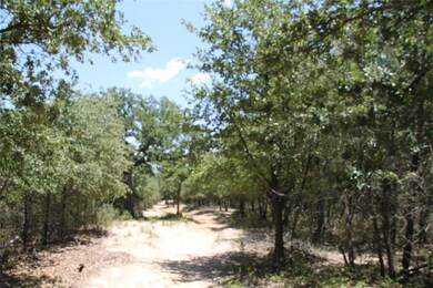 116 Marsh Salt Ct, Springtown, TX 76082 - photo 6