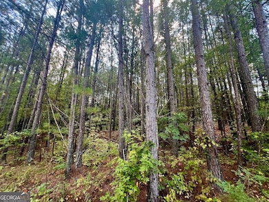 1150 Denton Rd, Douglasville, GA 30134 - photo 5