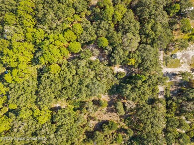 00 Bear Trail, West Canaveral Groves, FL 32926 - photo 7