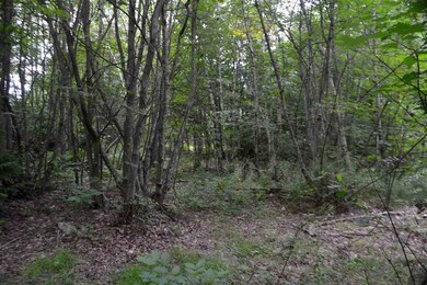 178 Meredith Center Rd, Meredith, NH 03253 - photo 7