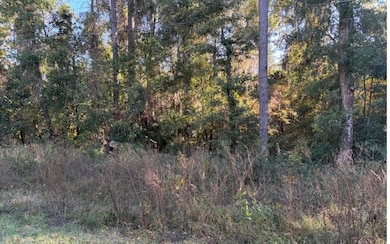 TBD SE Baxter Ln, Lake City, FL 32025 - photo 5