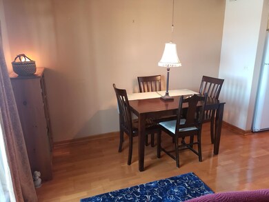 150 E Grand Ave unit 201, Elmhurst, IL 60126 - photo 6