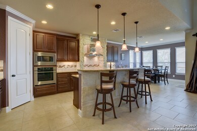 25943 Natal Plum, San Antonio, TX 78261 - photo 4