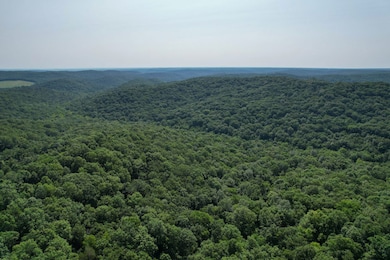 0 Coffman Rd unit Lot WP002 20945157, Farmington, MO 63640 - photo 4