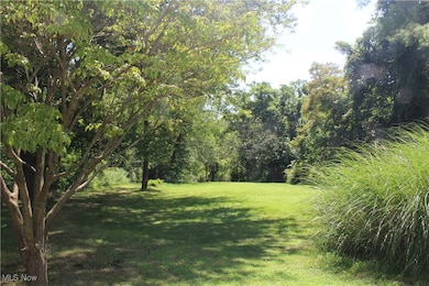 View of green lawn