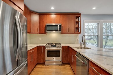 51 Eliot St unit 1, Chestnut Hill, MA 02467 - photo 5