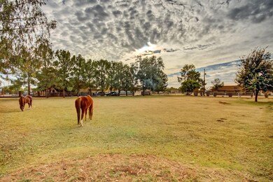 Pasture