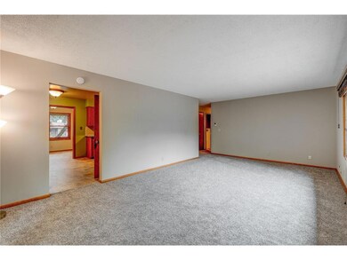 New carpeting