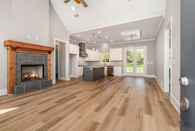 412 Harsh Ln, Castalian Springs, TN 37031 - photo 3