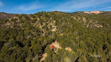 Cabin/RV Pad 2 and Conex Shed