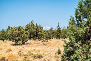 TL116 Lexie Ln, Redmond, OR 97756 - photo 5