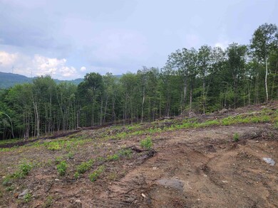 17-18 Halls Brook Rd, Groton, NH 03266 - photo 6