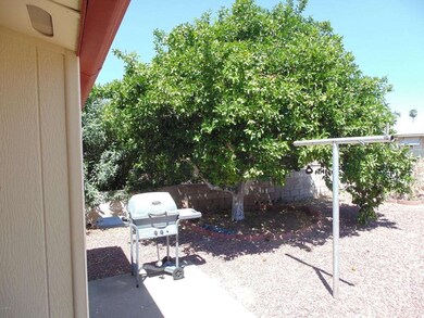 Back Patio