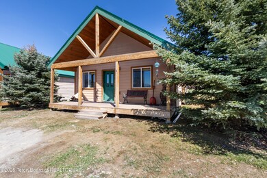 263 Fresian Cir6 IMG_9394