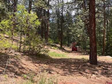 19 Glenn Ln, Durango, CO 81301 - photo 3