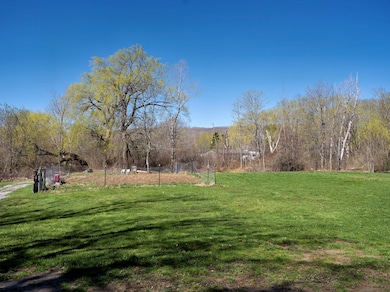 Spacious Back Yard