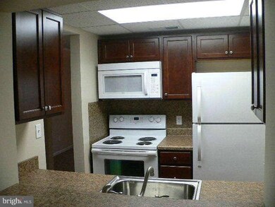 9558 Shenandoah Dr unit 9558, New Market, VA 22844 - photo 4