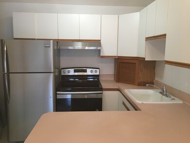 62 Carey Ave unit 9, Watertown, MA 02472 - photo 2