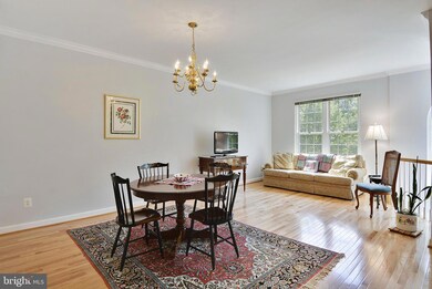 3425 Diehl Ct, Falls Church, VA 22041 - photo 6