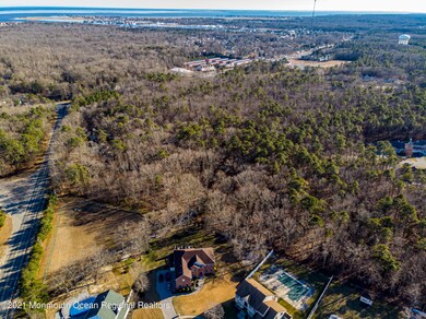 Aerial (13)