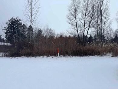 V/L W Caro Rd, Indianfields Township, MI 48723 - photo 3