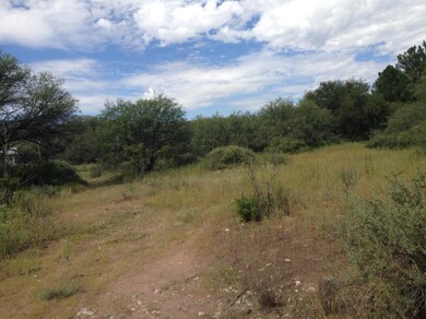 Path on property to river