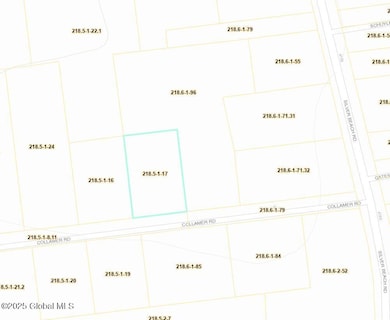 8 Collamer Rd, Malta, NY 12020 - photo 4