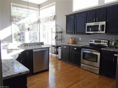 Gorgeous kitchen - also freshly painted with newer