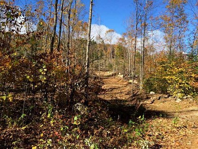 17 Bickford Pond Rd, Porter, ME 04068 - photo 2