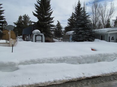 Winter pic
