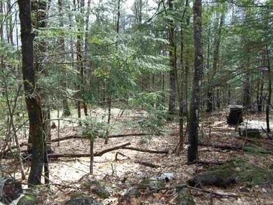 0 Robbins Hill Rd, Chatham, NH 03813 - photo 7