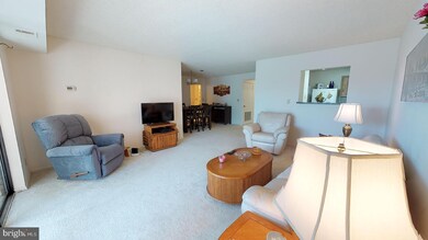 5901 Mount Eagle Dr unit 507, Alexandria, VA 22303 - photo 6